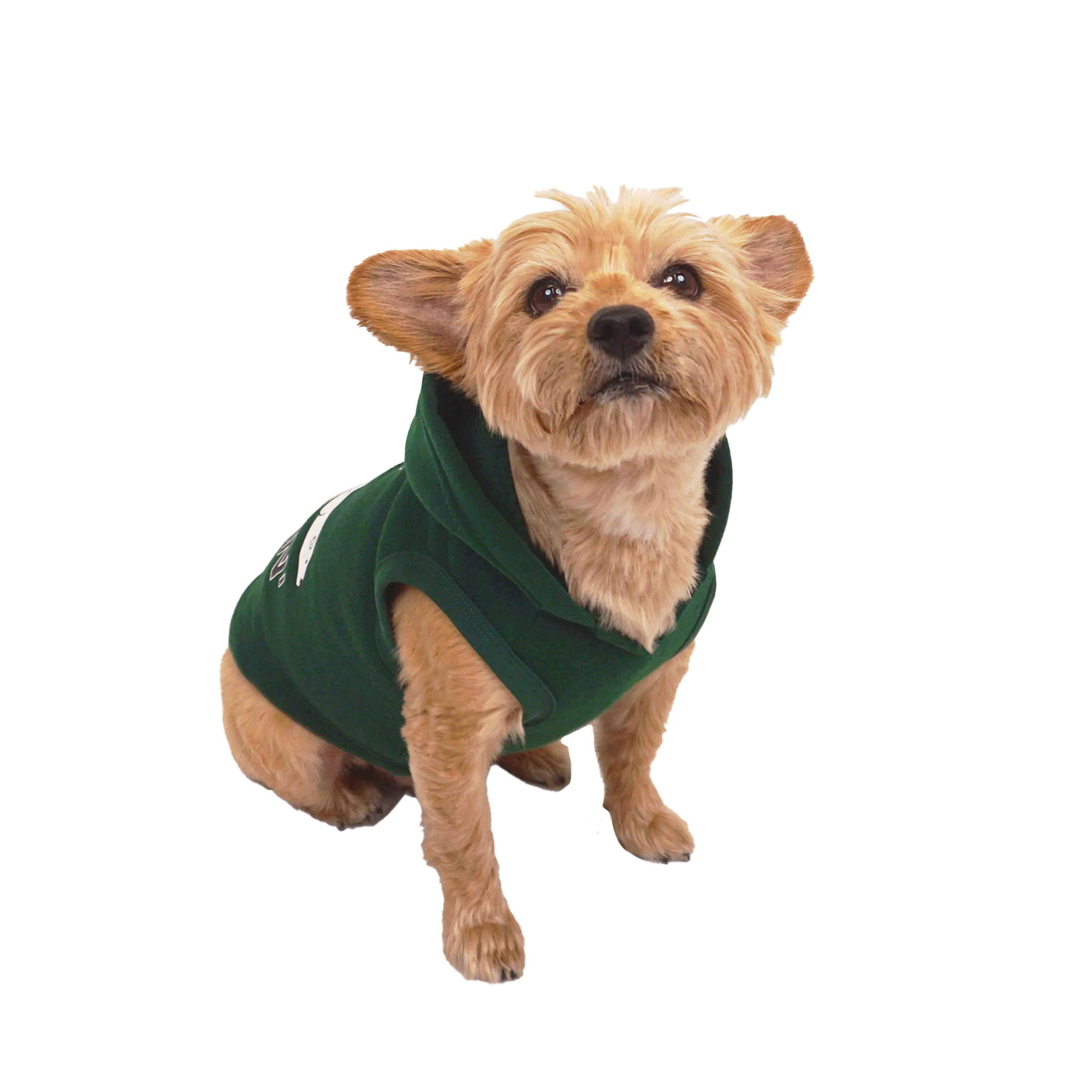 Celebrations Just Chillin Dog Hoodie